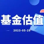 老罗基金估值-20230529